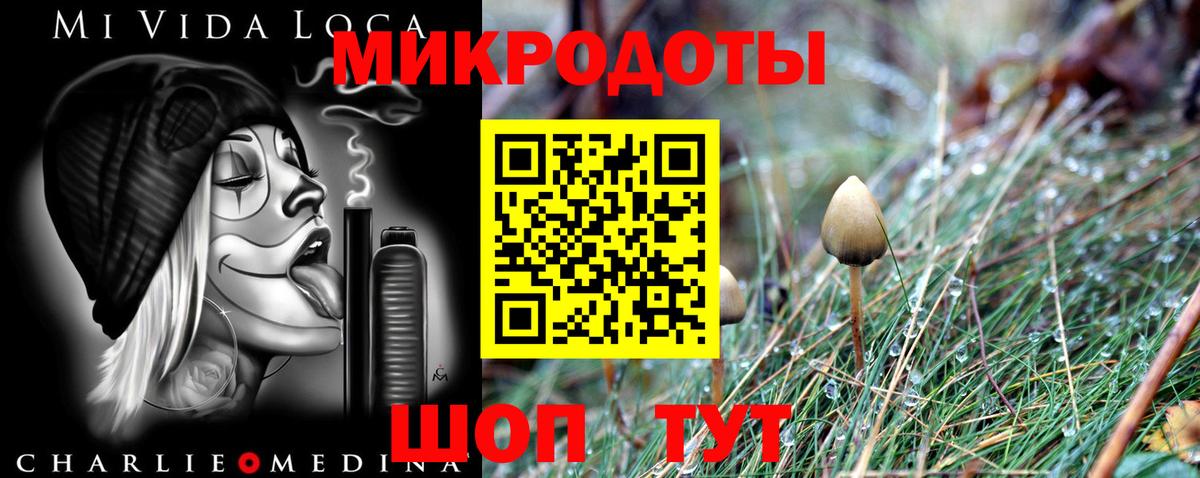 Галлюциногенные грибы Magic Shrooms  Вход с VPN  магазин    Псилоцибиновые грибы GOLDEN TEACHER  Шатура 