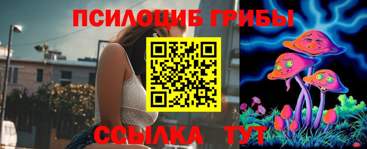 Псилоцибиновые грибы GOLDEN TEACHER Шатура